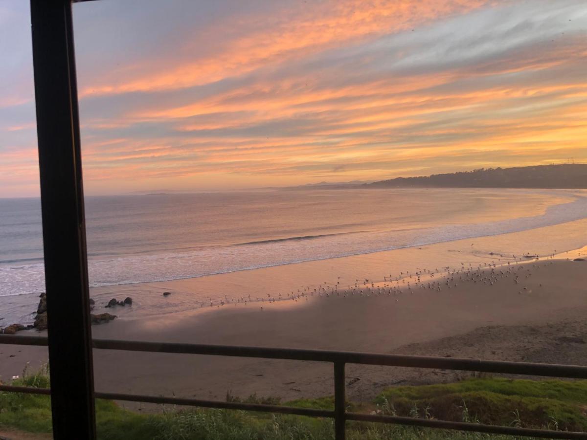 Pinguino En La Roca - Lodge Vina del Mar Kültér fotó