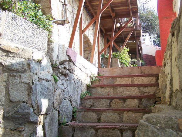 Pinguino En La Roca - Lodge Vina del Mar Kültér fotó