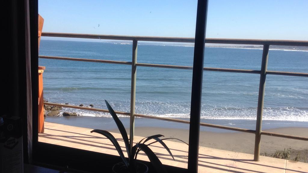 Pinguino En La Roca - Lodge Vina del Mar Kültér fotó