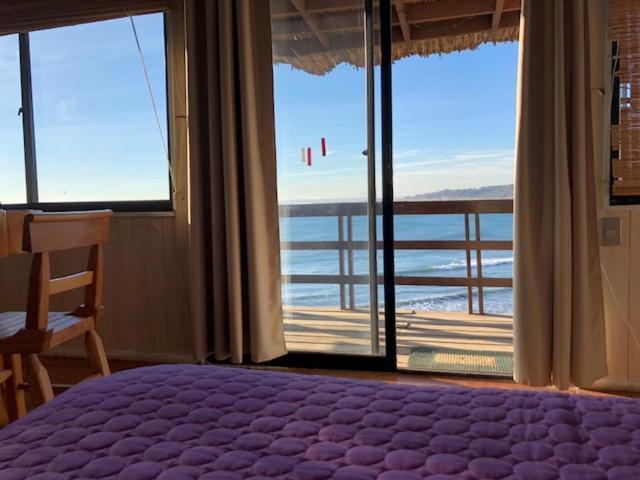 Pinguino En La Roca - Lodge Vina del Mar Kültér fotó