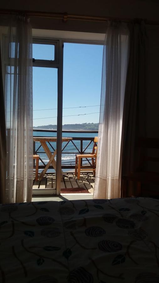 Pinguino En La Roca - Lodge Vina del Mar Kültér fotó
